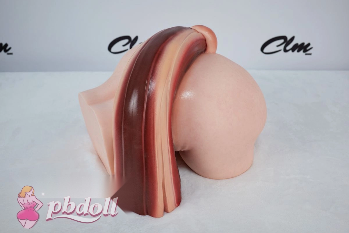 PA-Theory product view 3