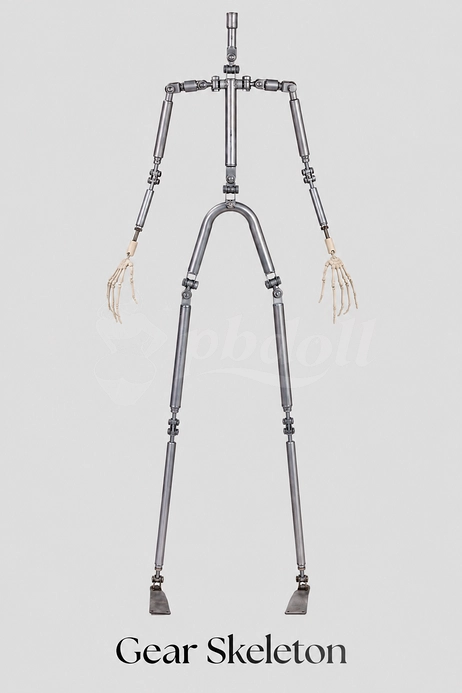 Skeleton design 1