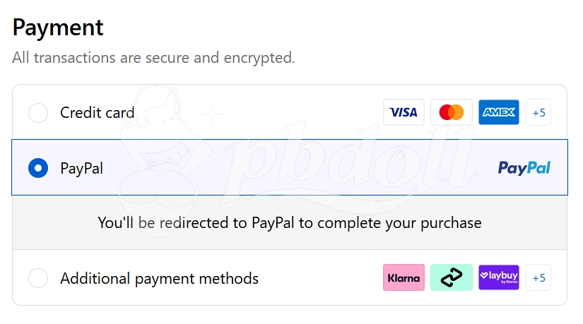 Example of checkout payment options